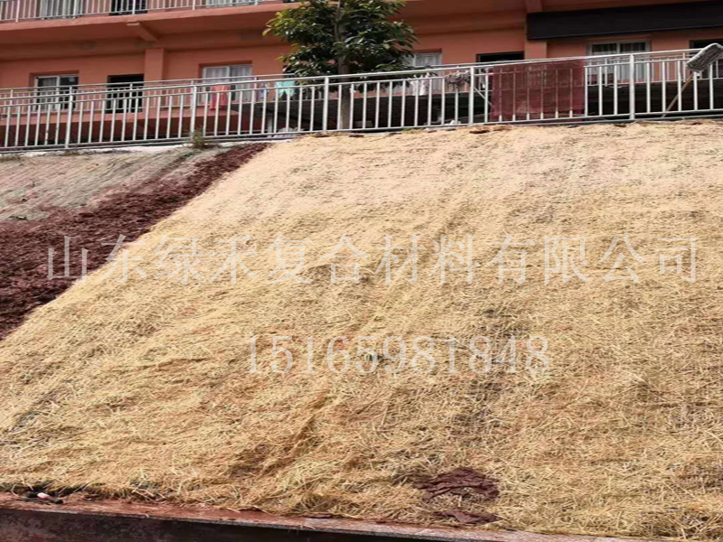 河南新乡订购植生毯18000平方米！