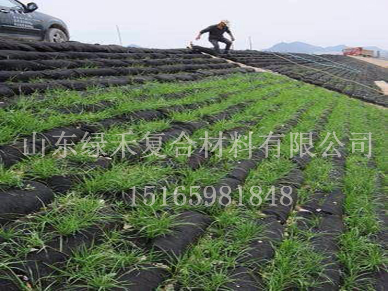 生态袋施工一线