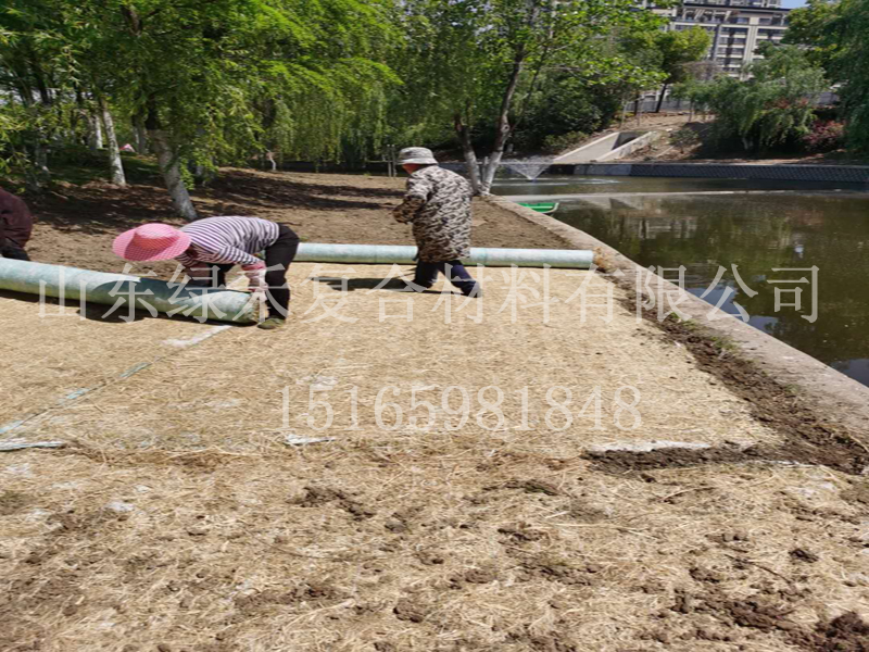 植生毯铺设完应该如何养护呢？