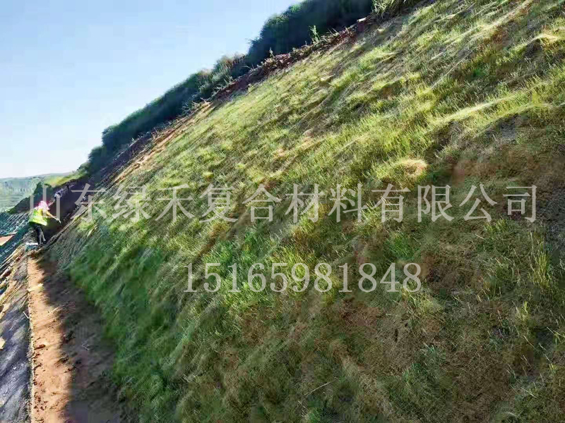 植被毯盘山公路防护应用效果(图1)