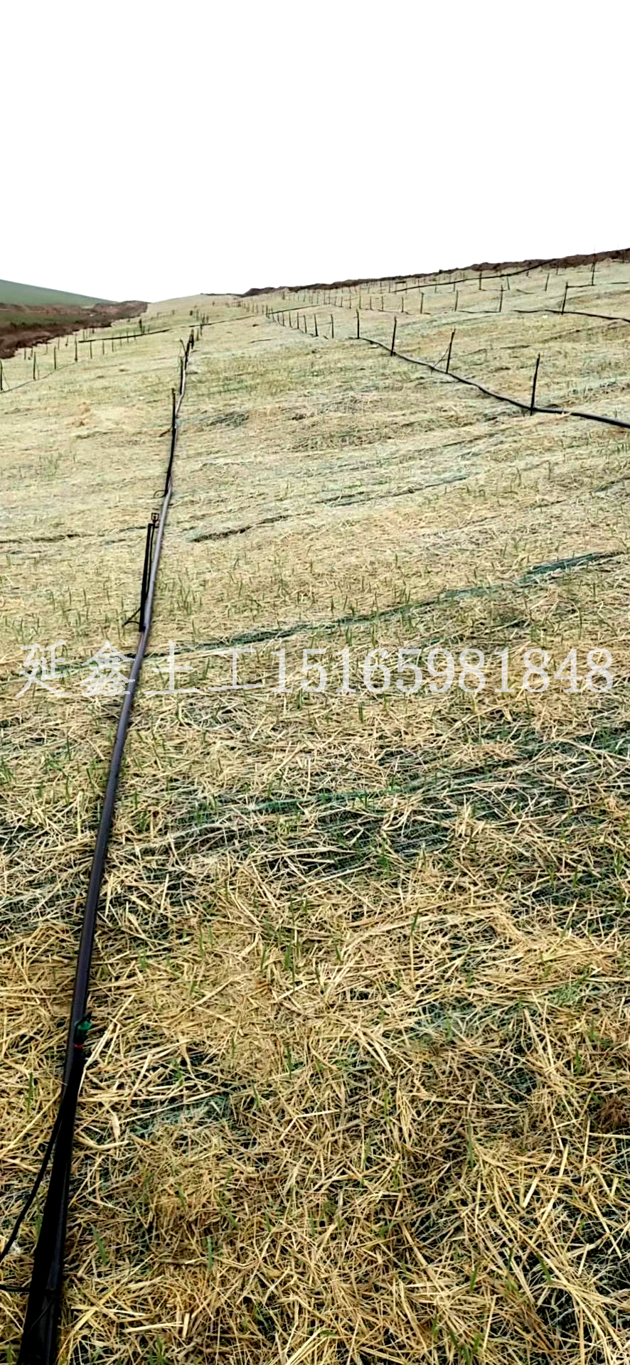 植生毯在坡道项目中应该如何铺设(图2) 植生毯在坡道项目中应该如何铺设(图2)