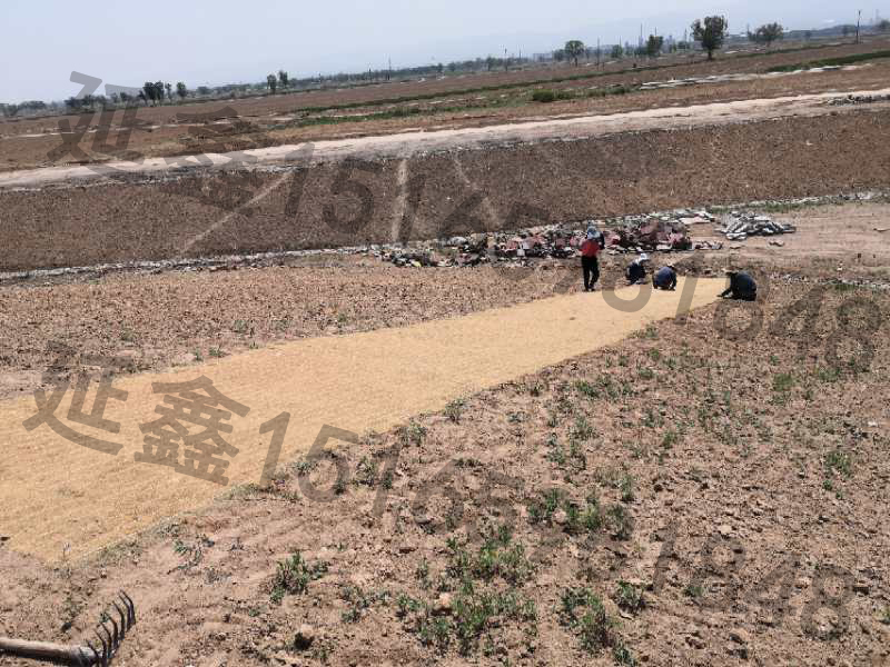 生态垫河道护坡应用效果(图1) 生态垫河道护坡应用效果(图1)