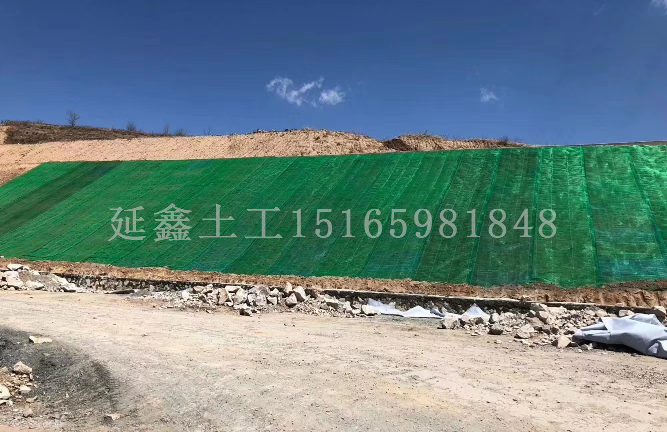 植生毯快速长草小窍门(图2) 植生毯快速长草小窍门(图2)