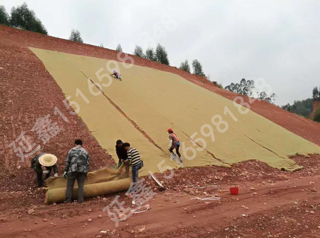 加筋植生毯的抗冲刷性能怎么样