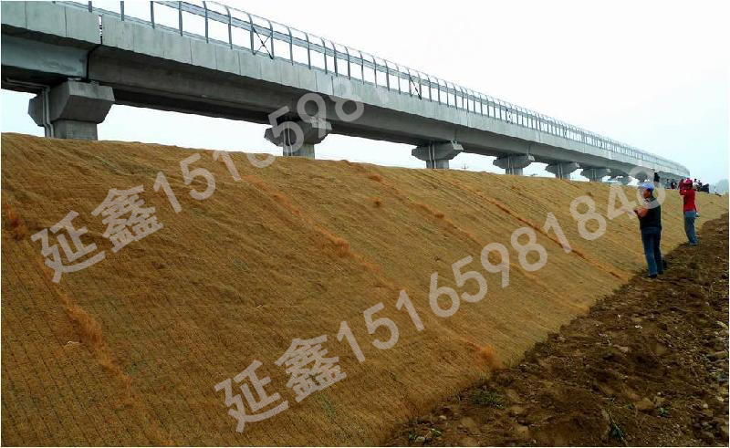 植生毯——植生毯护坡的天然优势(图1) 植生毯——植生毯护坡的天然优势(图1)