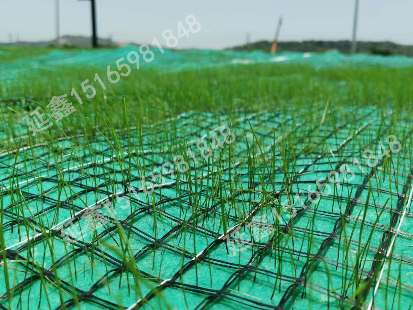 抗冲植生毯在沟渠中的护坡应用(图2) 抗冲植生毯在沟渠中的护坡应用(图2)