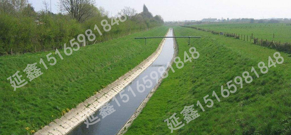 防冲植生毯的沟渠防护效果怎么样(图2) 防冲植生毯的沟渠防护效果怎么样(图2)