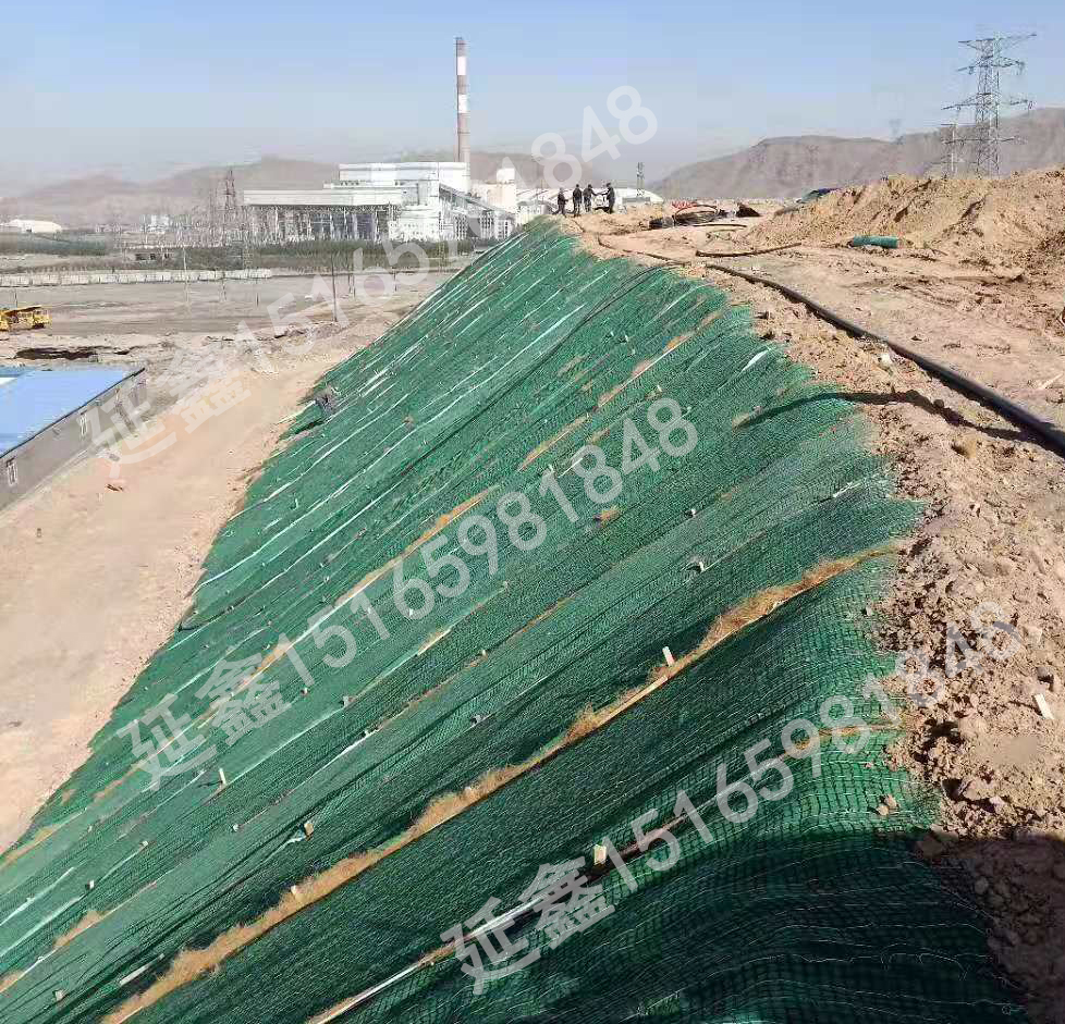 防冲植生毯的沟渠防护效果怎么样(图1) 防冲植生毯的沟渠防护效果怎么样(图1)