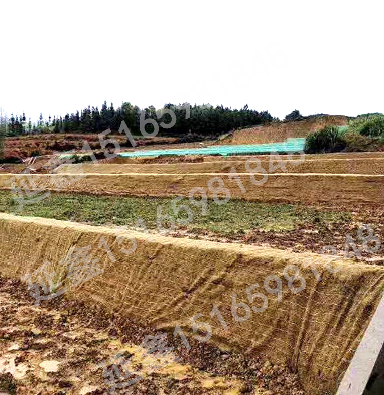 植生毯——垦造水田项目应如何施工