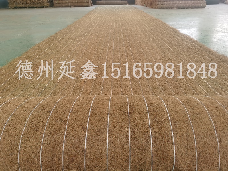 植生毯——田埂护坡绿化专用材料