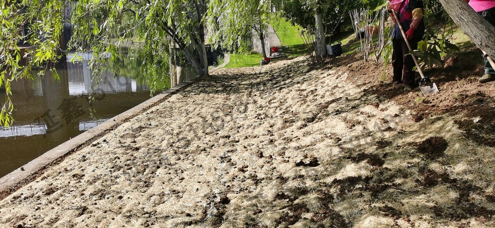 植被毯郊区河道防护绿化工程应用效果(图2) 植被毯郊区河道防护绿化工程应用效果(图2)