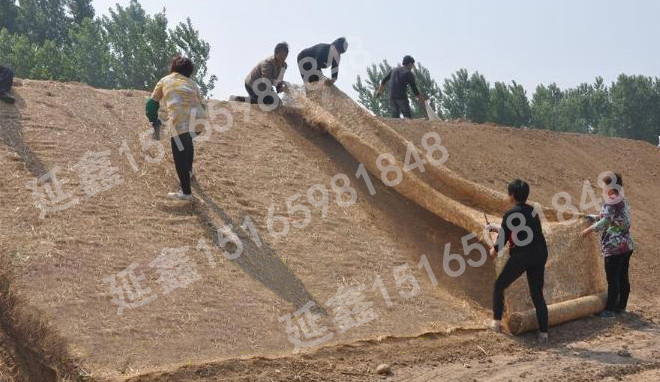护坡草毯——稻草毯公路护坡应用(图1) 护坡草毯——稻草毯公路护坡应用(图1)