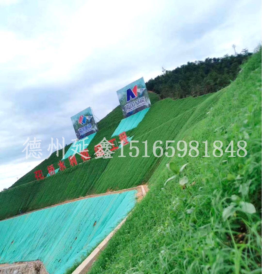 为什么用椰丝毯植草？