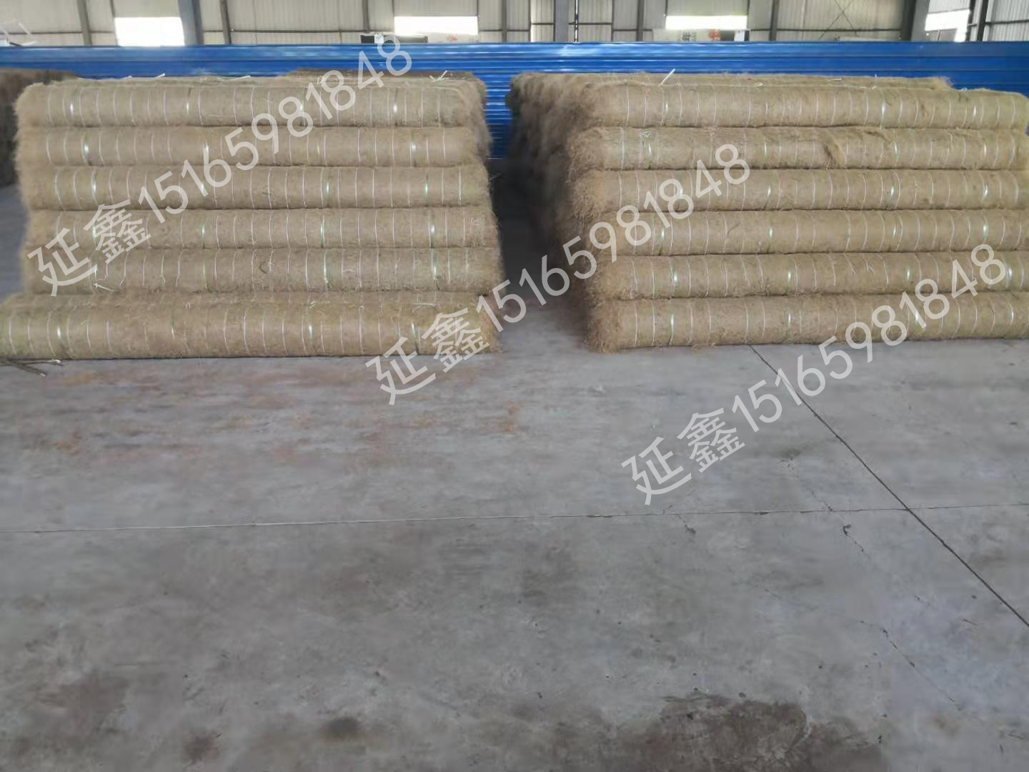 今日植生毯发货45000平发往山西忻州！