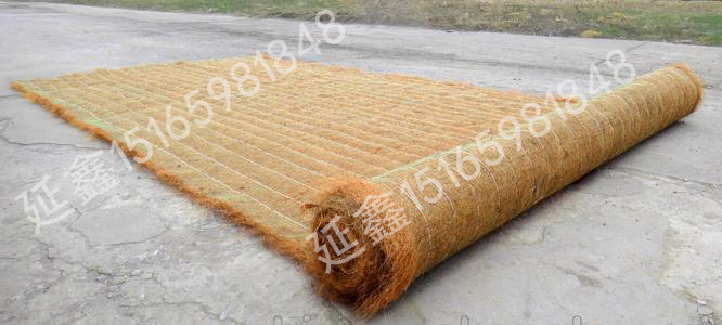 植生毯——您身边的绿化护坡专家