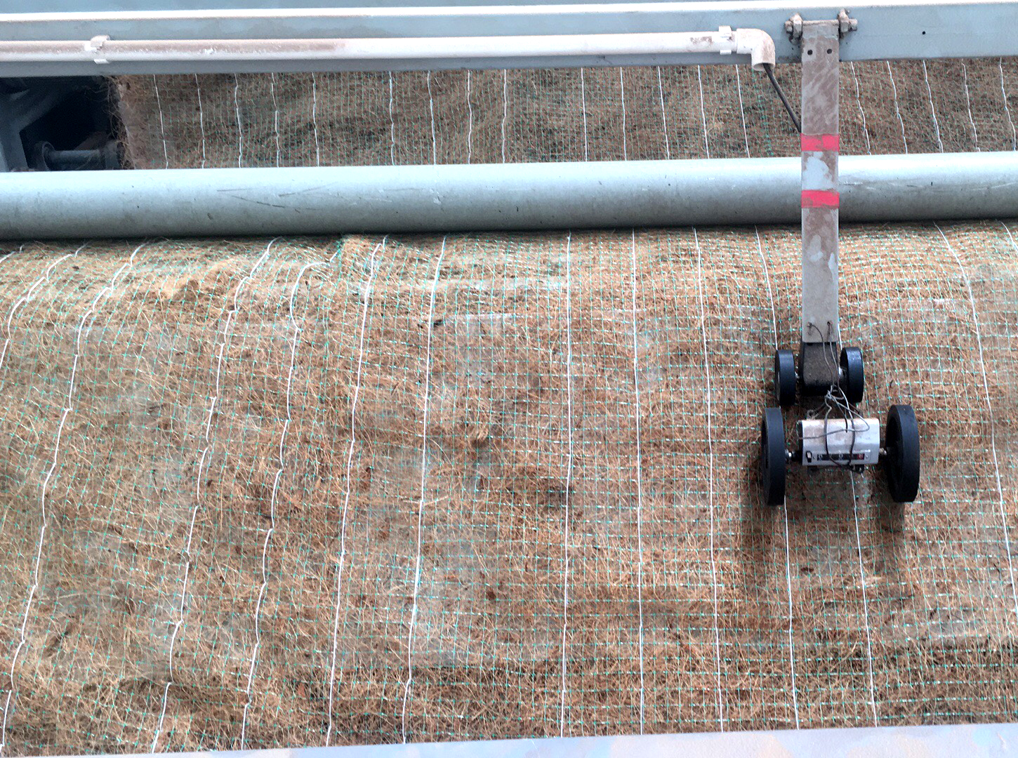 滁州的田总订购8600平椰丝毯正在生产中！