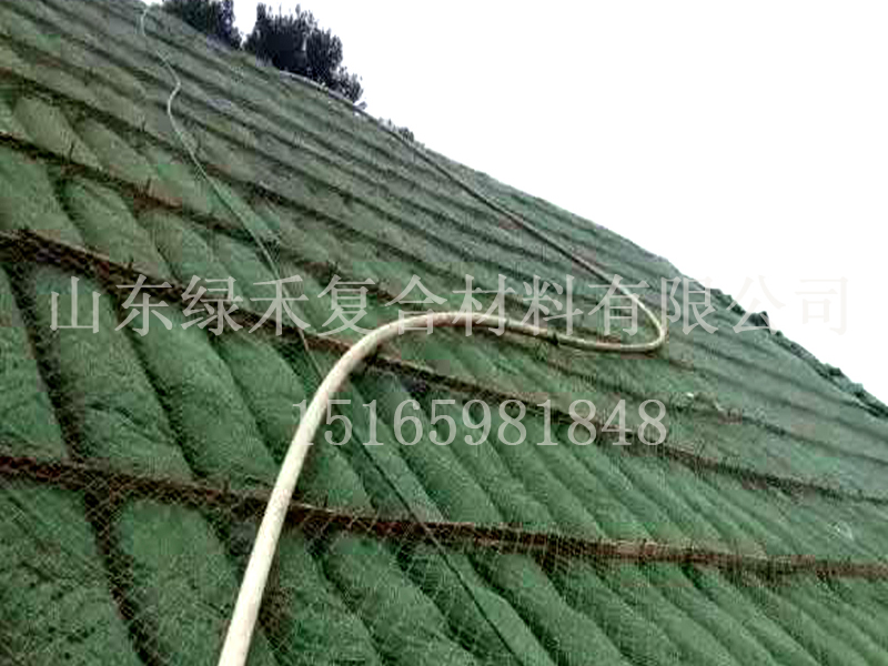 植生袋(图1) 植生袋(图1)