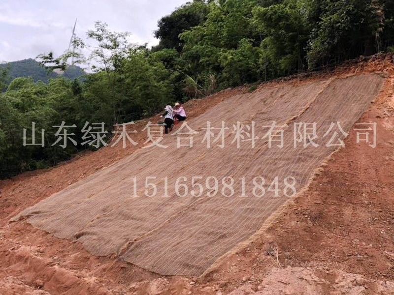 加筋防冲毯(图1) 加筋防冲毯(图1)