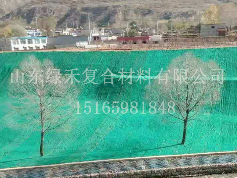 山体护坡抗冲生物毯(图1) 山体护坡抗冲生物毯(图1)