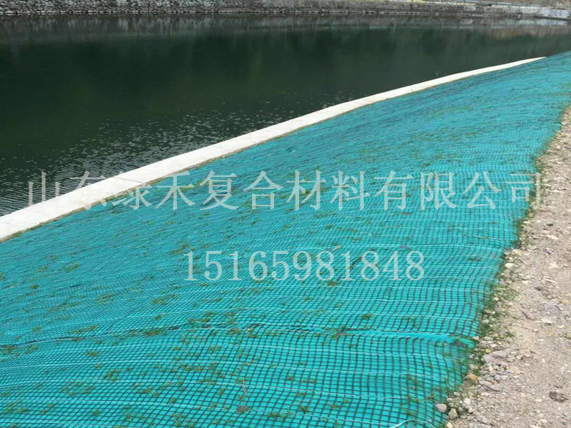 河道抗冲生物毯(图1) 河道抗冲生物毯(图1)