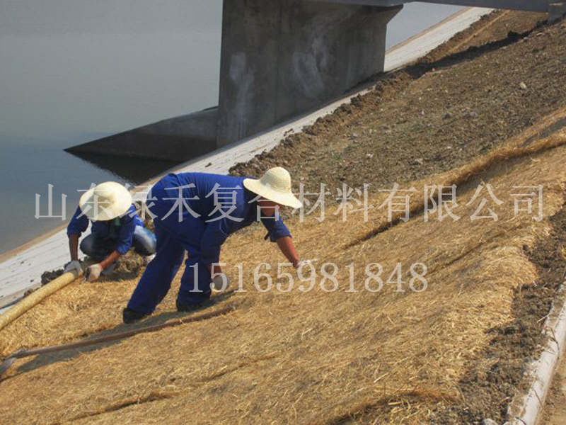 生态绿化植被毯。