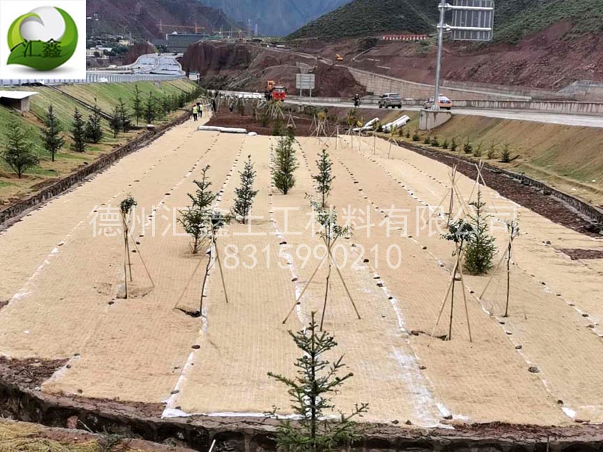 植生毯快速绿化(图1) 植生毯快速绿化(图1)